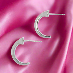Farrier's Nail Earrings (Large) Falabella Equine Jewellery Earrings