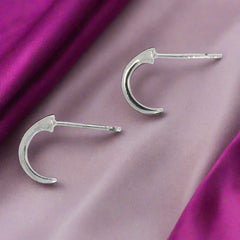 Farrier's Nail Earrings (Small) Falabella Equine Jewellery Earrings